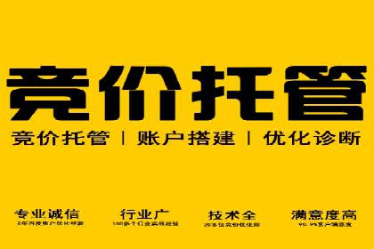 行业案例分析：sem账户托管的成功与挑战